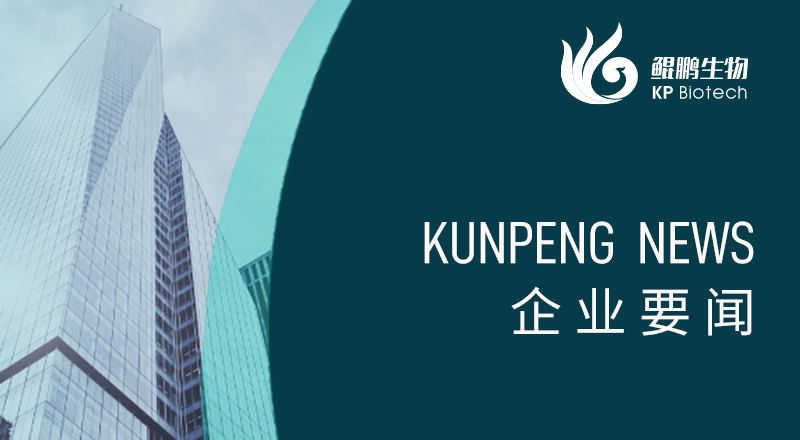 科技引领 “兔”显创新——宁波hb火博·体育荣获“高新技术企业”及“创新型中小企业”认定